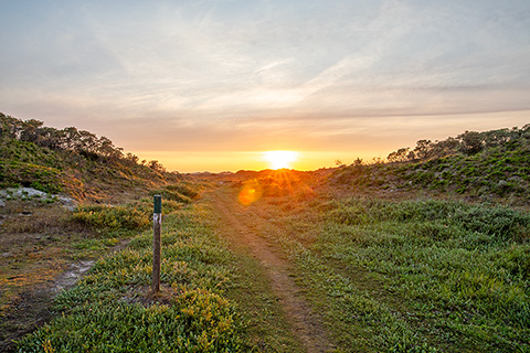 Wanderweg im Grünen