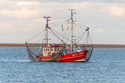 Krabbenkutter vor Borkum