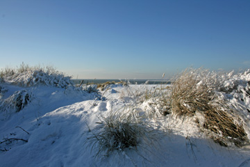 Winter an der See